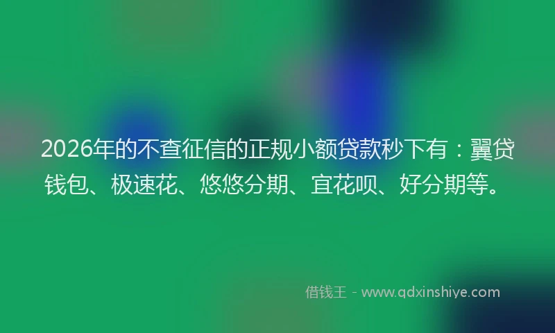 2026年的不查征信的正规小额贷款秒下有：翼贷钱包、极速花、悠悠分期、宜花呗、好分期等。