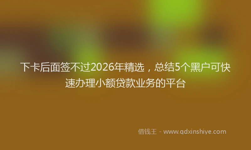 下卡后面签不过2026年精选，总结5个黑户可快速办理小额贷款业务的平台