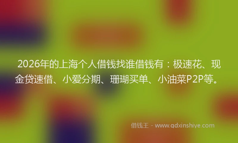 2026年的上海个人借钱找谁借钱有：极速花、现金贷速借、小爱分期、珊瑚买单、小油菜P2P等。