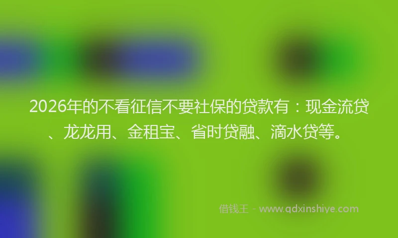 2026年的不看征信不要社保的贷款有：现金流贷、龙龙用、金租宝、省时贷融、滴水贷等。