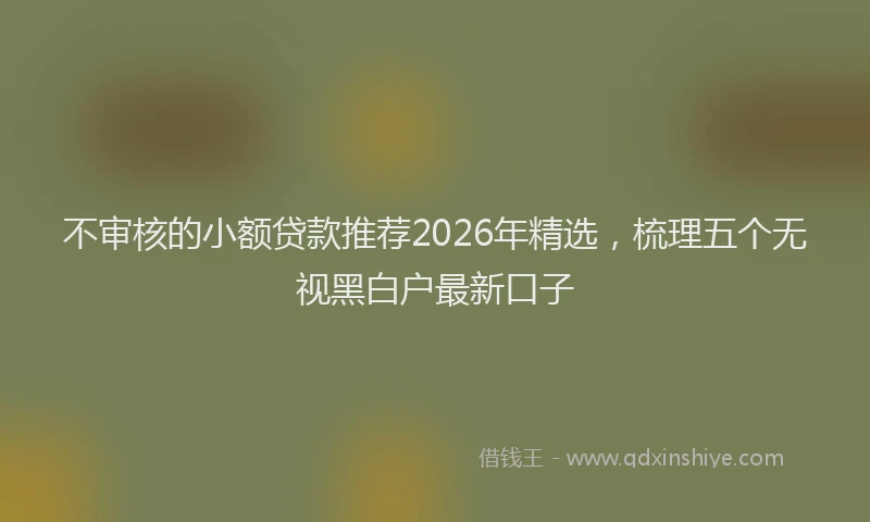 不审核的小额贷款推荐2026年精选，梳理五个无视黑白户最新口子