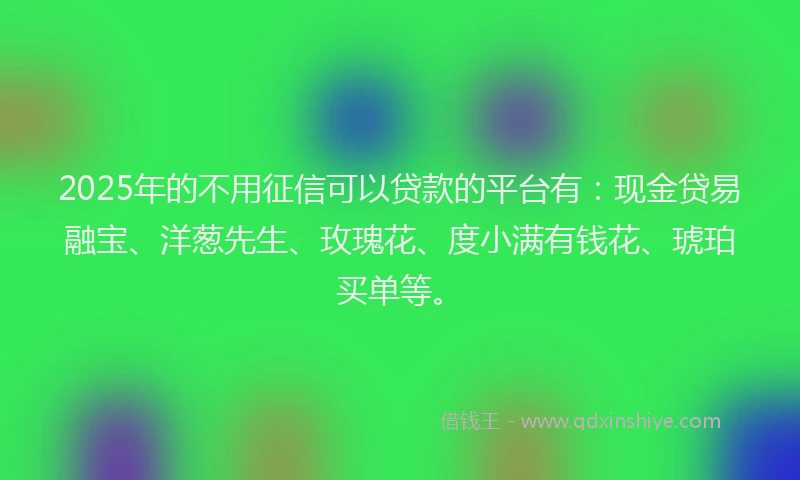 2025年的不用征信可以贷款的平台有：现金贷易融宝、洋葱先生、玫瑰花、度小满有钱花、琥珀买单等。