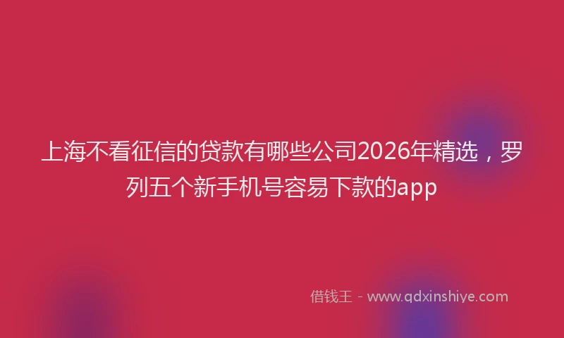 上海不看征信的贷款有哪些公司2026年精选，罗列五个新手机号容易下款的app
