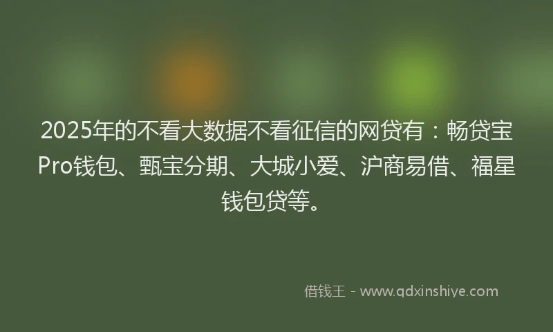 2025年的不看大数据不看征信的网贷有：畅贷宝Pro钱包、甄宝分期、大城小爱、沪商易借、福星钱包贷等。