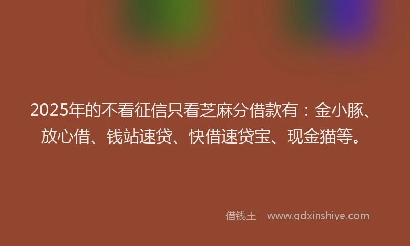2025年的不看征信只看芝麻分借款有：金小豚、放心借、钱站速贷、快借速贷宝、现金猫等。