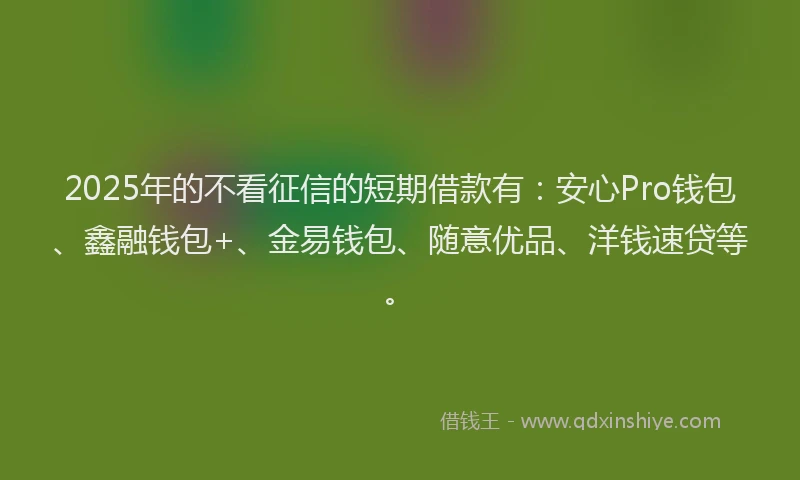 2025年的不看征信的短期借款有：安心Pro钱包、鑫融钱包+、金易钱包、随意优品、洋钱速贷等。