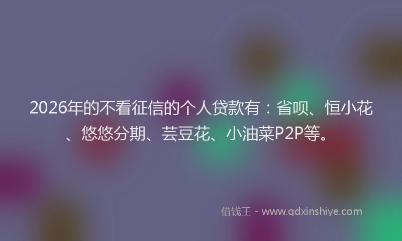 2026年的不看征信的个人贷款有：省呗、恒小花、悠悠分期、芸豆花、小油菜P2P等。