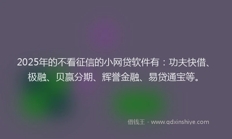 2025年的不看征信的小网贷软件有：功夫快借、极融、贝赢分期、辉誉金融、易贷通宝等。