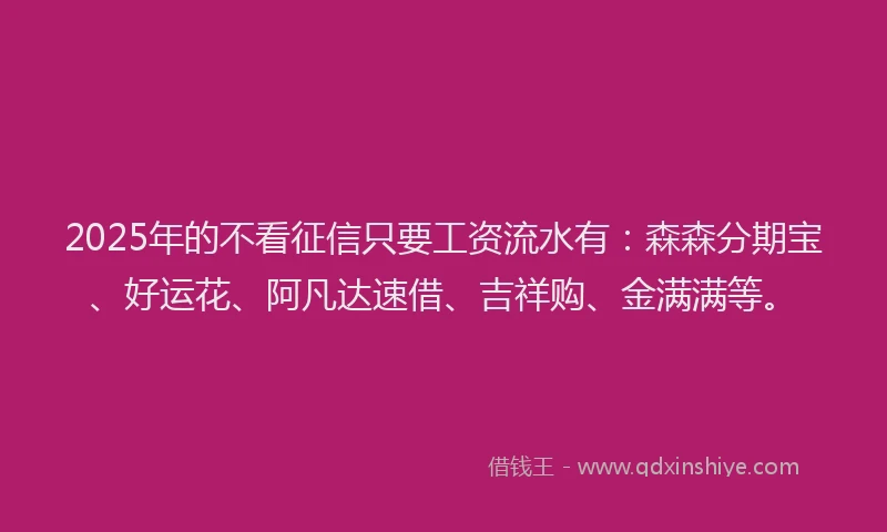 2025年的不看征信只要工资流水有：森森分期宝、好运花、阿凡达速借、吉祥购、金满满等。