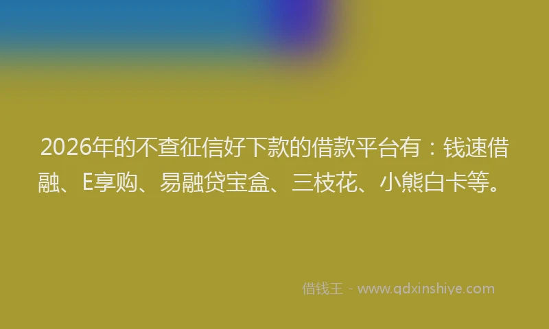 2026年的不查征信好下款的借款平台有:钱速借融、E享购、易融贷宝盒、三枝花、小熊白卡等。