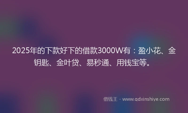 2025年的下款好下的借款3000W有：盈小花、金钥匙、金叶贷、易秒通、用钱宝等。