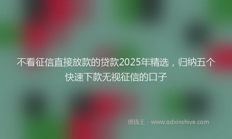 不看征信直接放款的贷款2025年精选，归纳五个快速下款无视征信的口子