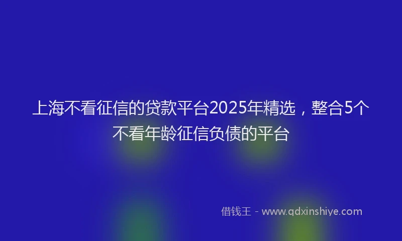 上海不看征信的贷款平台2025年精选，整合5个不看年龄征信负债的平台