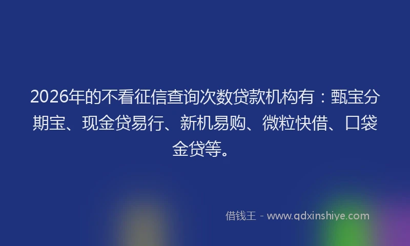 2026年的不看征信查询次数贷款机构有：甄宝分期宝、现金贷易行、新机易购、微粒快借、口袋金贷等。