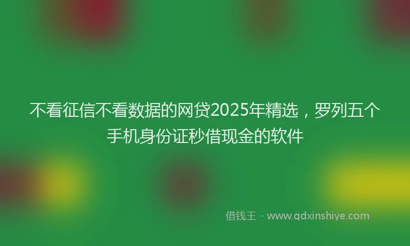 不看征信不看数据的网贷2025年精选,罗列五个手机身份证秒借现金的软件