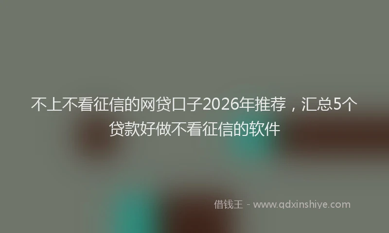 不上不看征信的网贷口子2026年推荐，汇总5个贷款好做不看征信的软件
