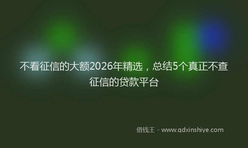 不看征信的大额2026年精选，总结5个真正不查征信的贷款平台
