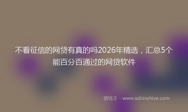 不看征信的网贷有真的吗2026年精选，汇总5个能百分百通过的网贷软件