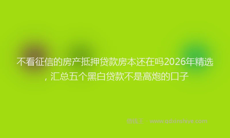 不看征信的房产抵押贷款房本还在吗2026年精选，汇总五个黑白贷款不是高炮的口子