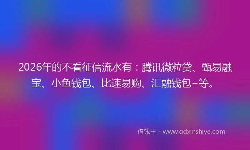 2026年的不看征信流水有：腾讯微粒贷、甄易融宝、小鱼钱包、比速易购、汇融钱包+等。