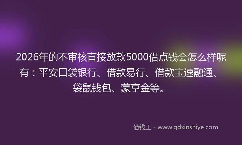 2026年的不审核直接放款5000借点钱会怎么样呢有：平安口袋银行、借款易行、借款宝速融通、袋鼠钱包、蒙享金等。