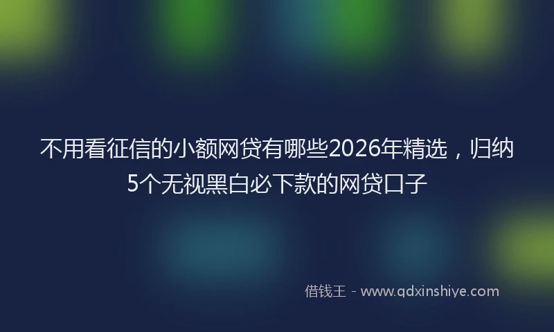 不用看征信的小额网贷有哪些2026年精选，归纳5个无视黑白必下款的网贷口子