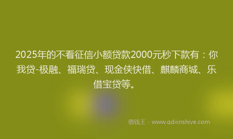2025年的不看征信小额贷款2000元秒下款有：你我贷-极融、福瑞贷、现金侠快借、麒麟商城、乐借宝贷等。