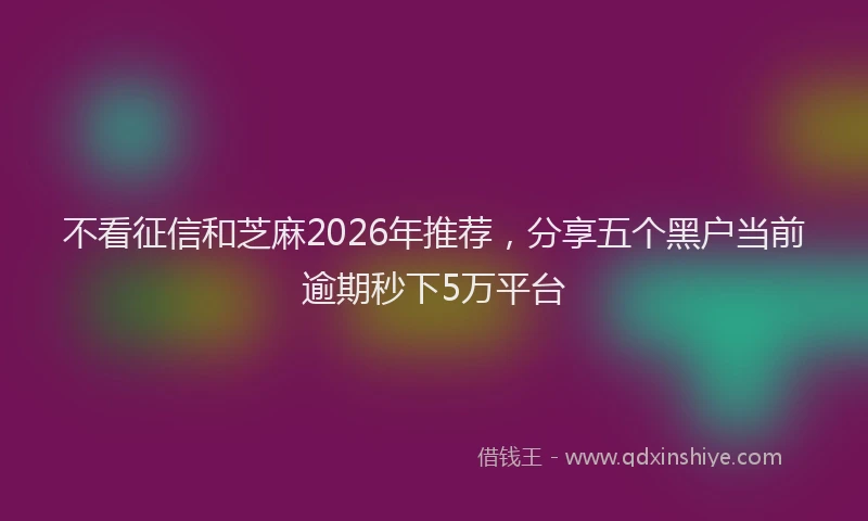 不看征信和芝麻2026年推荐,分享五个黑户当前逾期秒下5万平台
