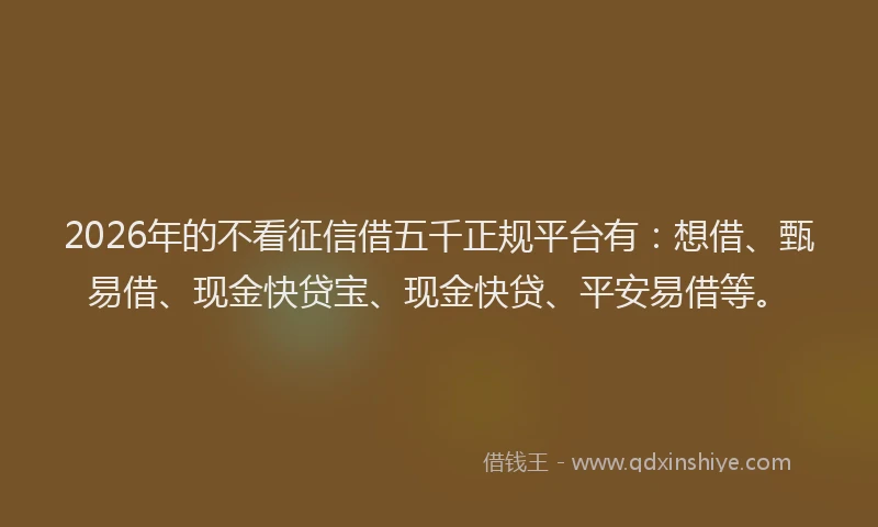 2026年的不看征信借五千正规平台有：想借、甄易借、现金快贷宝、现金快贷、平安易借等。