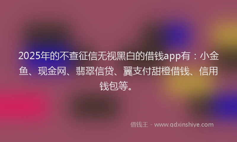 2025年的不查征信无视黑白的借钱app有:小金鱼、现金网、翡翠信贷、翼支付甜橙借钱、信用钱包等。