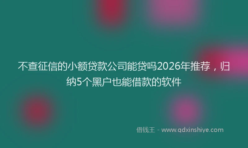 不查征信的小额贷款公司能贷吗2026年推荐,归纳5个黑户也能借款的软件