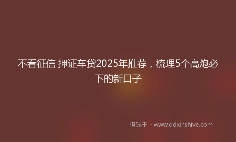 不看征信 押证车贷2025年推荐，梳理5个高炮必下的新口子