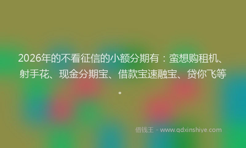2026年的不看征信的小额分期有：蛮想购租机、射手花、现金分期宝、借款宝速融宝、贷你飞等。