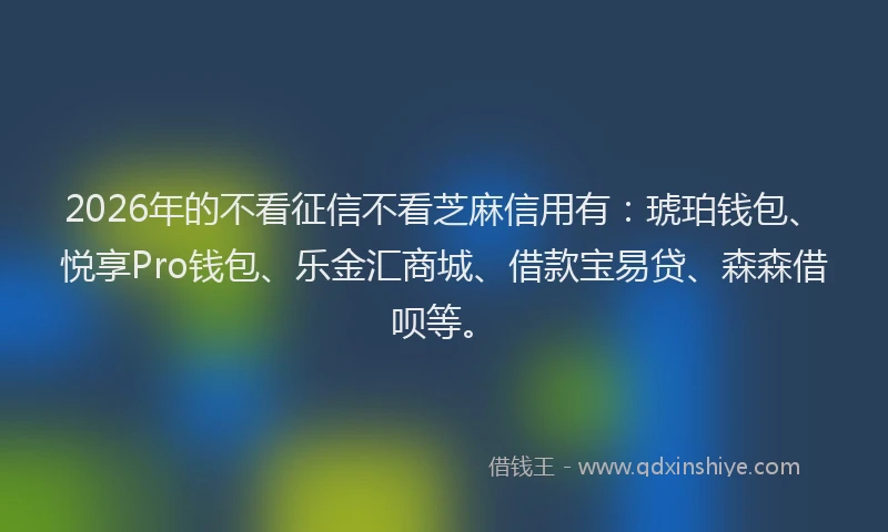 2026年的不看征信不看芝麻信用有：琥珀钱包、悦享Pro钱包、乐金汇商城、借款宝易贷、森森借呗等。