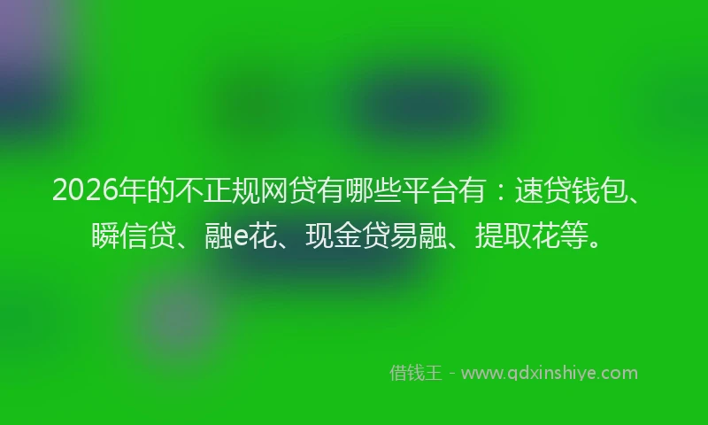 2026年的不正规网贷有哪些平台有：速贷钱包、瞬信贷、融e花、现金贷易融、提取花等。