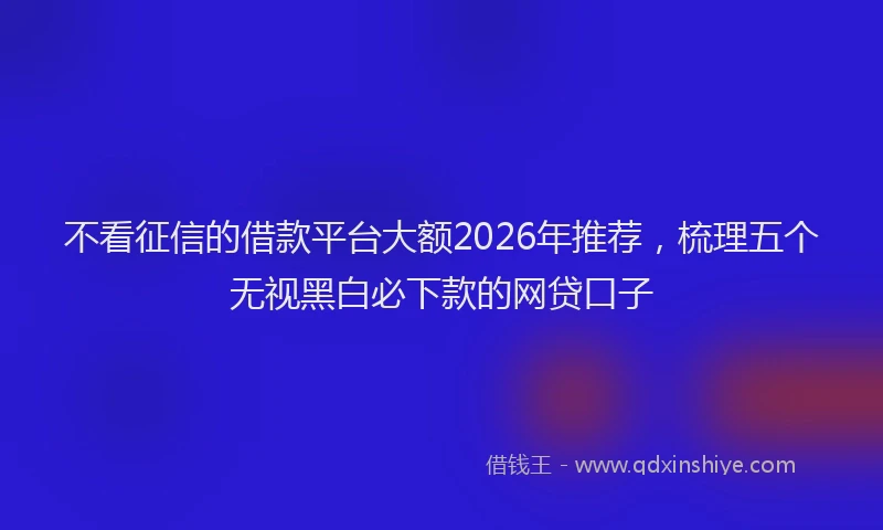 不看征信的借款平台大额2026年推荐，梳理五个无视黑白必下款的网贷口子
