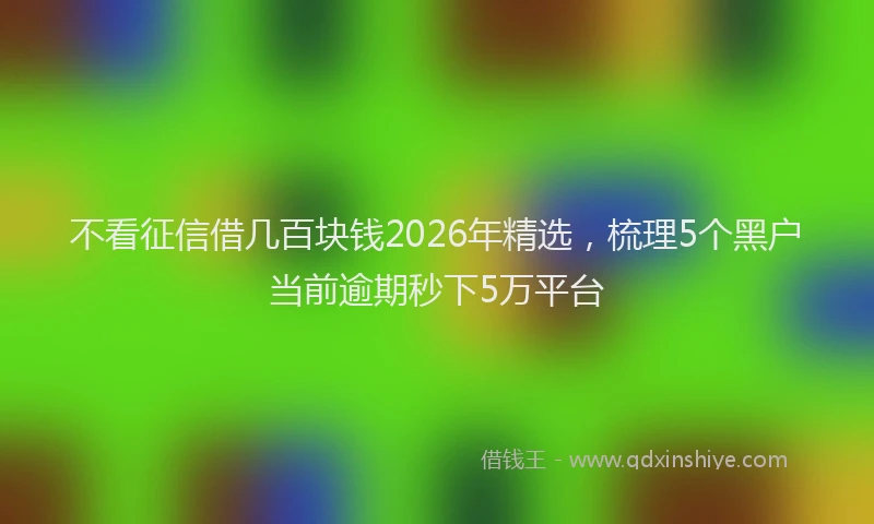 不看征信借几百块钱2026年精选,梳理5个黑户当前逾期秒下5万平台
