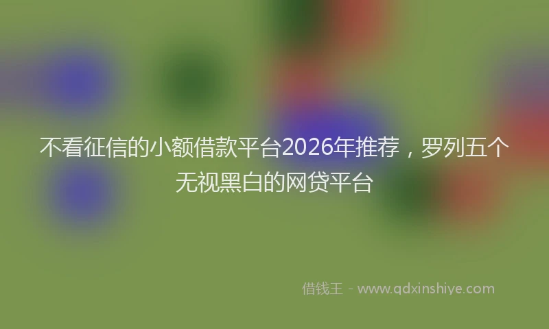 不看征信的小额借款平台2026年推荐，罗列五个无视黑白的网贷平台