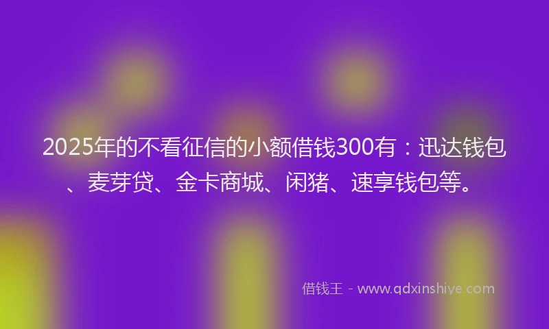 2025年的不看征信的小额借钱300有：迅达钱包、麦芽贷、金卡商城、闲猪、速享钱包等。