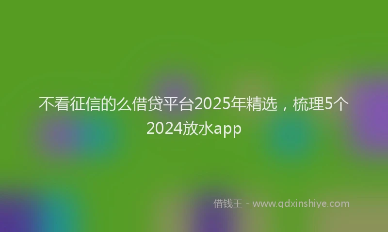 不看征信的么借贷平台2025年精选，梳理5个2024放水app