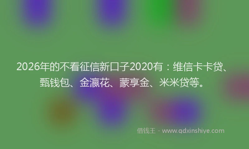 2026年的不看征信新口子2020有：维信卡卡贷、甄钱包、金瀛花、蒙享金、米米贷等。