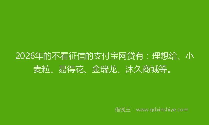 2026年的不看征信的支付宝网贷有：理想给、小麦粒、易得花、金瑞龙、沐久商城等。