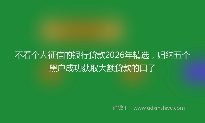 不看个人征信的银行贷款2026年精选，归纳五个黑户成功获取大额贷款的口子