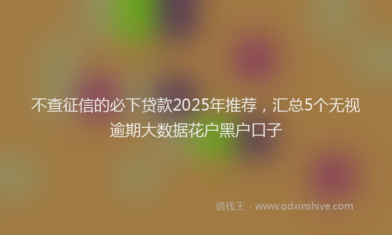 不查征信的必下贷款2025年推荐，汇总5个无视逾期大数据花户黑户口子
