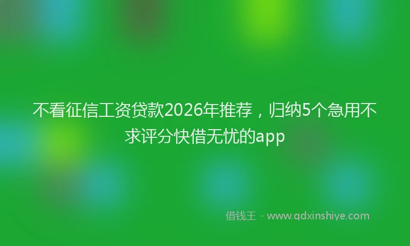 不看征信工资贷款2026年推荐，归纳5个急用不求评分快借无忧的app