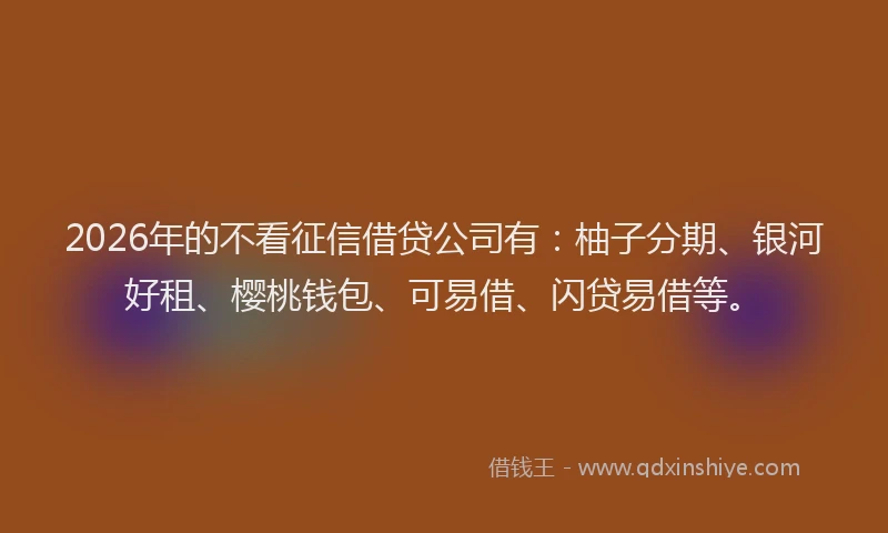 2026年的不看征信借贷公司有：柚子分期、银河好租、樱桃钱包、可易借、闪贷易借等。