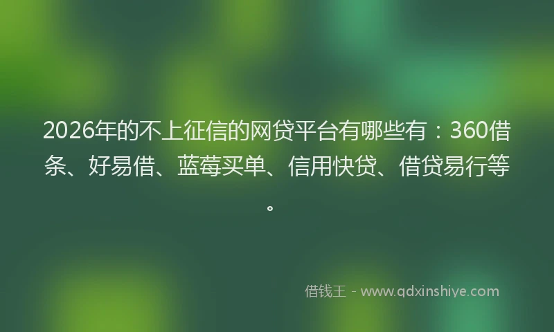 2026年的不上征信的网贷平台有哪些有：360借条、好易借、蓝莓买单、信用快贷、借贷易行等。