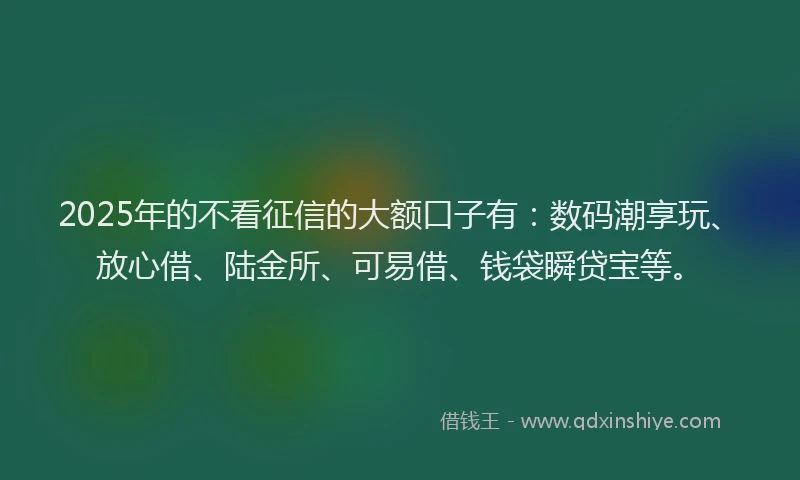 2025年的不看征信的大额口子有:数码潮享玩、放心借、陆金所、可易借、钱袋瞬贷宝等。