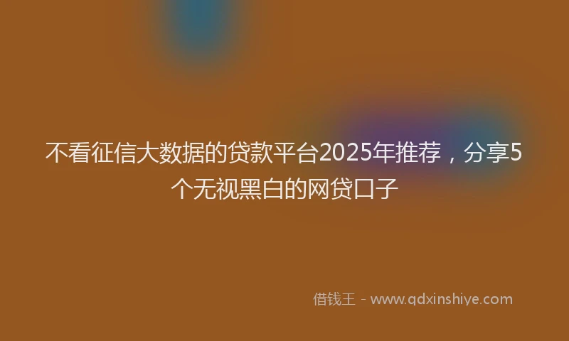 不看征信大数据的贷款平台2025年推荐，分享5个无视黑白的网贷口子