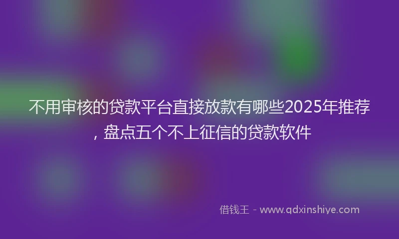 不用审核的贷款平台直接放款有哪些2025年推荐,盘点五个不上征信的贷款软件